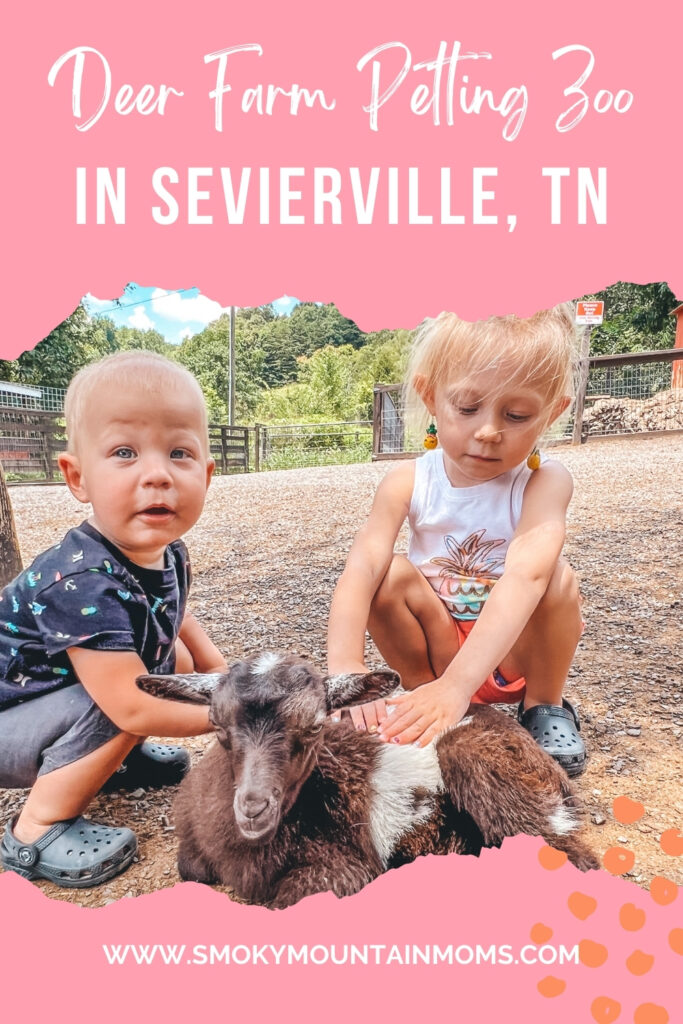 Deer Farm Petting Zoo Attractions in Sevierville Smoky Mountains Pigeon Forge Gatlinburg family friendly kids things to do