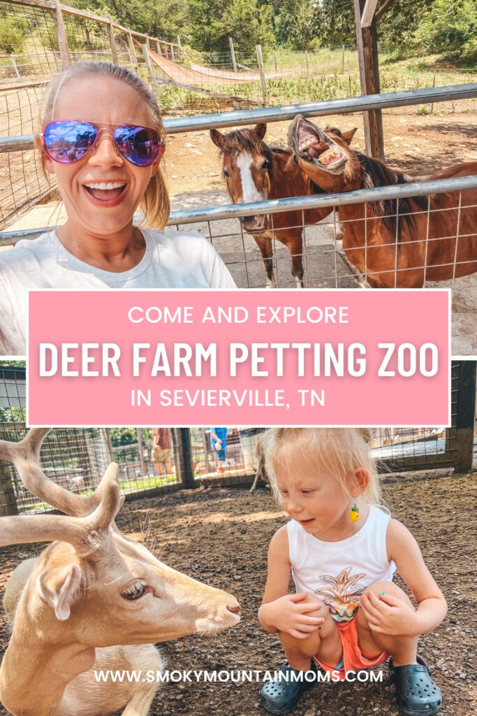 Deer Farm Petting Zoo Attractions in Sevierville Smoky Mountains Pigeon Forge Gatlinburg family friendly kids things to do