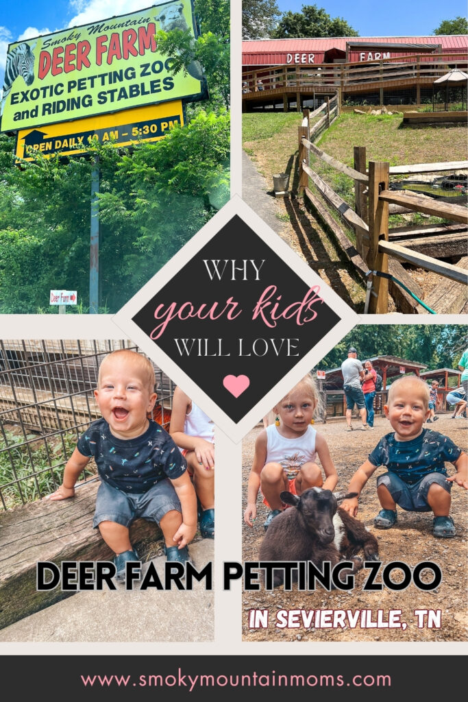 Deer Farm Petting Zoo Attractions in Sevierville Smoky Mountains Pigeon Forge Gatlinburg family friendly kids things to do