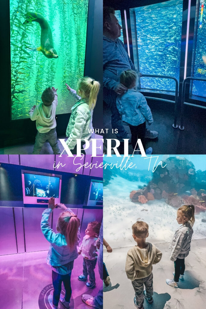 Xperia in Pigeon Forge Tennessee New Attractions in Gatlinburg and Smoky Mountains things to do with kids