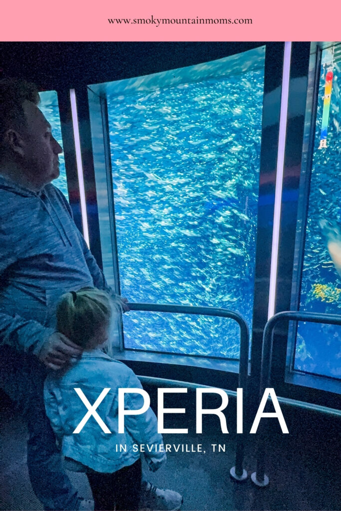 Xperia in Pigeon Forge Tennessee New Attractions in Gatlinburg and Smoky Mountains things to do with kids