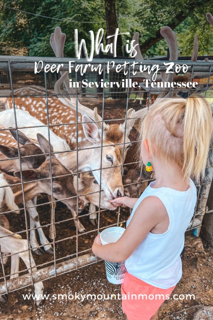 Deer Farm Petting zoo attraction in the Pigeon Forge Smoky Mountains Sevierville Gatlinburg kid family friendly fun