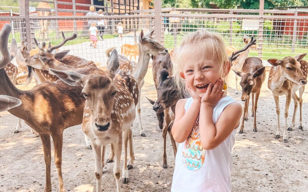 Come and See What Deer Farm Petting Zoo is in Sevierville, TN