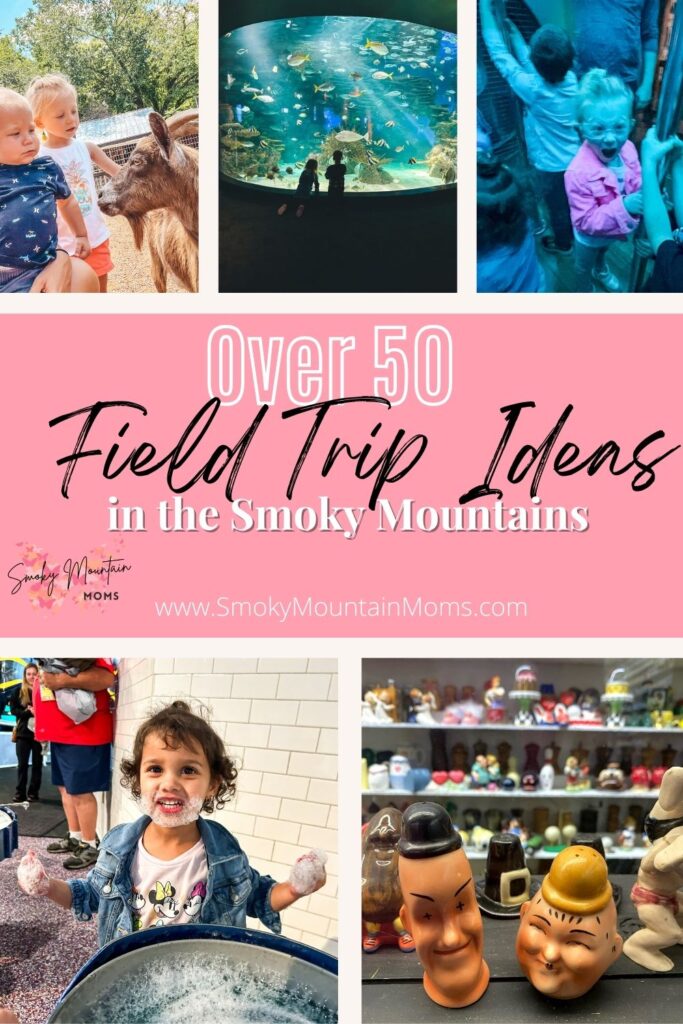 Smoky Mountain Kids Field Trip School Homeschool ideas classes exhibit Museums