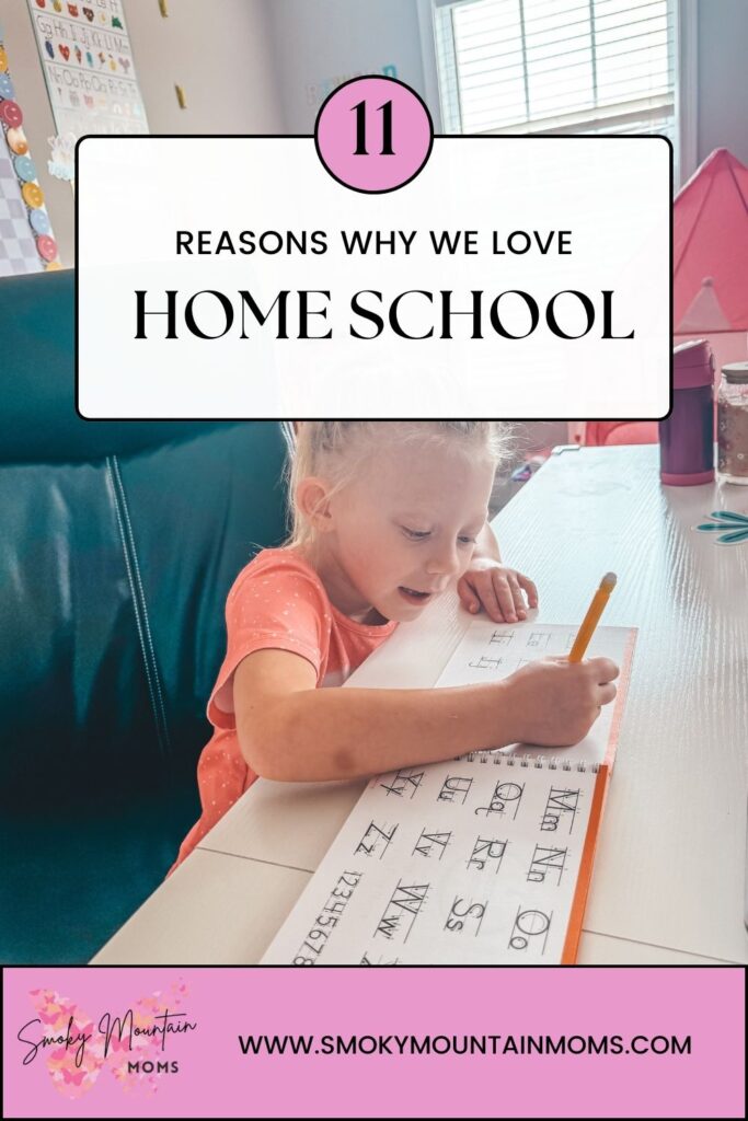 Reasons Why We love to Home School Our Kindergarten Elementary School Child 