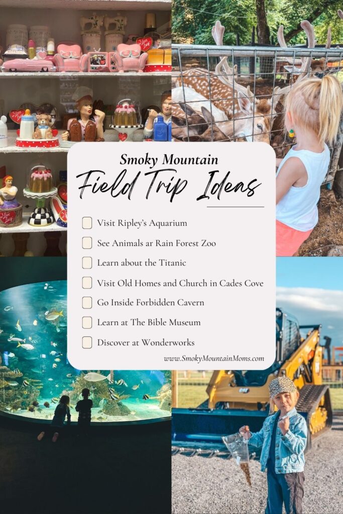 Smoky Mountain Kids Field Trip School Homeschool ideas classes exhibit Museums