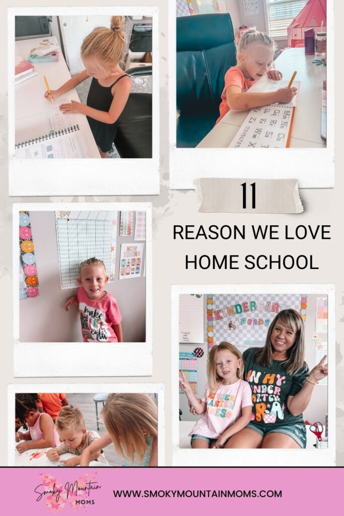 Reasons Why We love to Home School Our Kindergarten Elementary School Child 