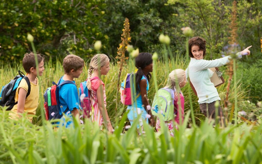 Field Trip Ideas in the Smoky Mountains